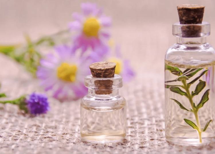 La pratique naturopathique