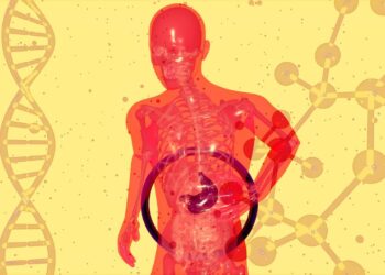 La démarche en Santé Fonctionnelle et micronutrition