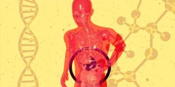 La démarche en Santé Fonctionnelle et micronutrition